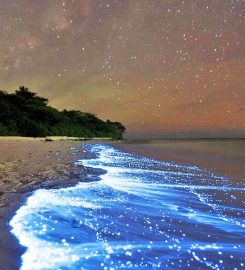 Maldives Beach