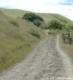 Wild Cat Canyon Park