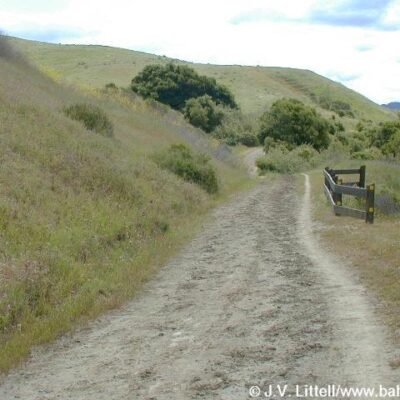 Wild Cat Canyon Park