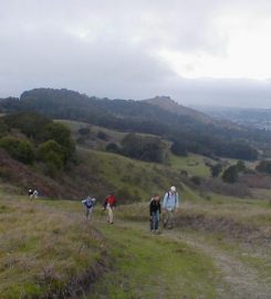 Wild Cat Canyon Park