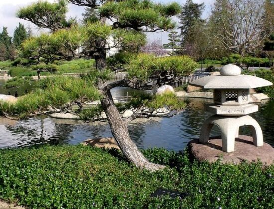 SuihoEn, the Japanese Garden