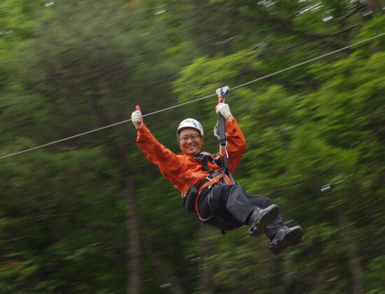 Bellevue Zip Tour