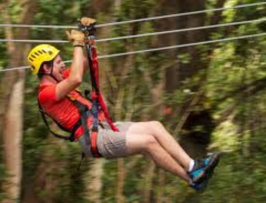 Bellevue Zip Tour