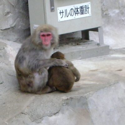 Ueno Zoo