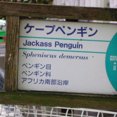 Ueno Zoo