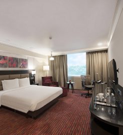 Hilton Garden Inn New Delhi/Saket