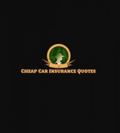 Cheap Car Insurance Tampa FL