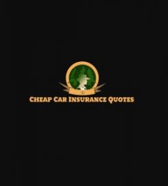 Cheap Car Insurance Tampa FL