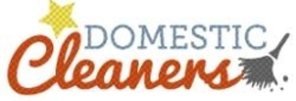 Star Domestic Cleaners
