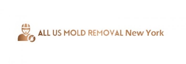Closet Off Mold Removal NYC – Mold Remediation Services