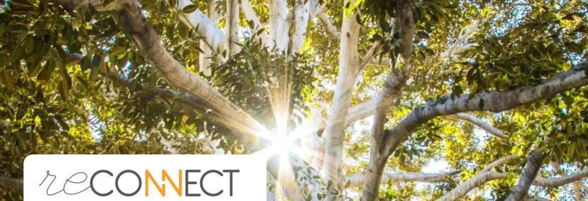 Reconnect Integrative Trauma Treatment Center