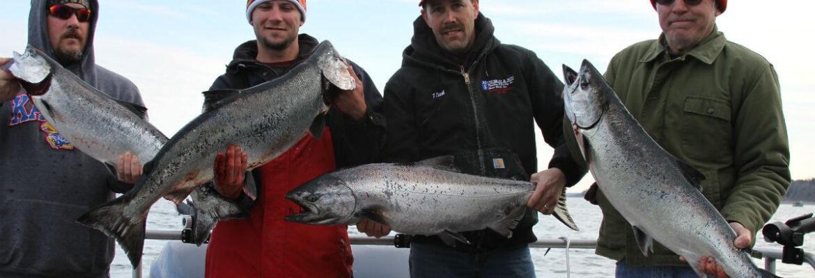Alaskan Gamefisher