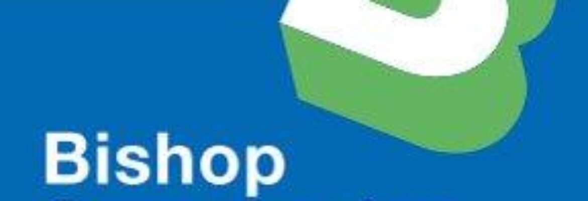 Bishop Construction Services