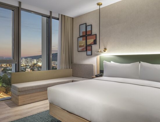 Hilton Garden Inn Tbilisi Riverview